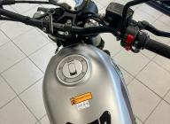 BENELLI LEONCINO 500